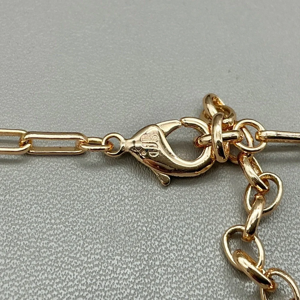 Bomb Party Necklace Gold Tone Paperclip Chain Pink Carabiner CZ Pendant 18-20